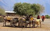 TANZANIA - Villaggio Masai di Engaruka - 15